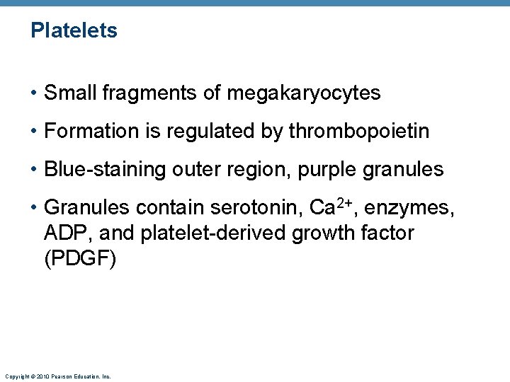 Platelets • Small fragments of megakaryocytes • Formation is regulated by thrombopoietin • Blue-staining