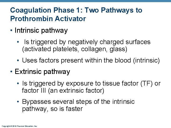 Coagulation Phase 1: Two Pathways to Prothrombin Activator • Intrinsic pathway • Is triggered