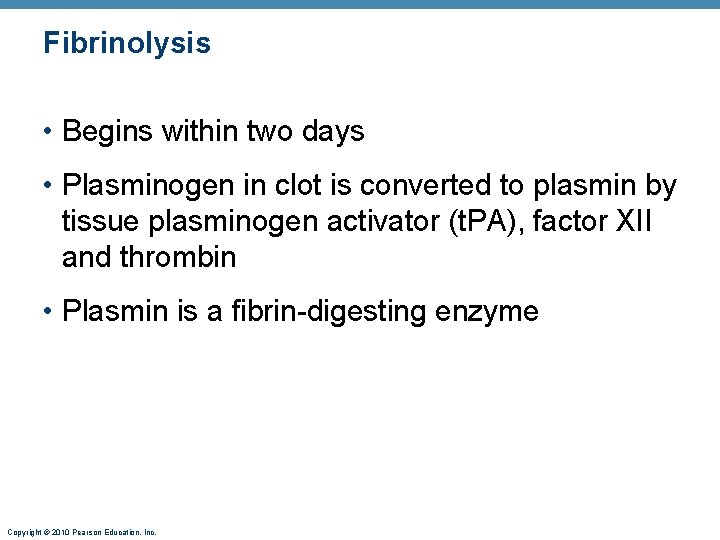Fibrinolysis • Begins within two days • Plasminogen in clot is converted to plasmin