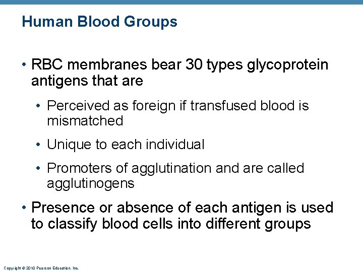 Human Blood Groups • RBC membranes bear 30 types glycoprotein antigens that are •