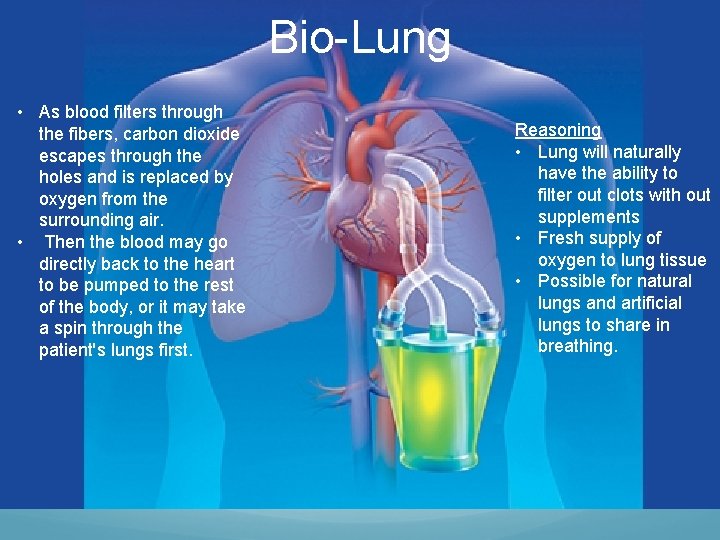 Bio-Lung • As blood filters through the fibers, carbon dioxide escapes through the holes