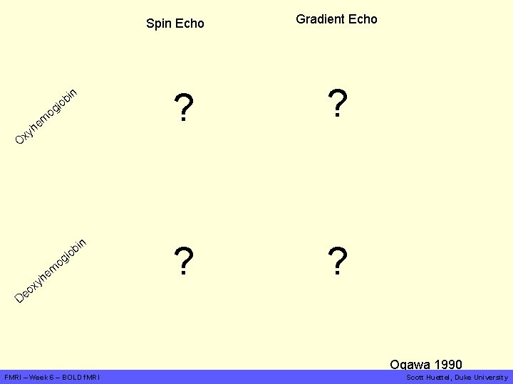 Spin Echo b lo in og em h xy Gradient Echo ? ? O