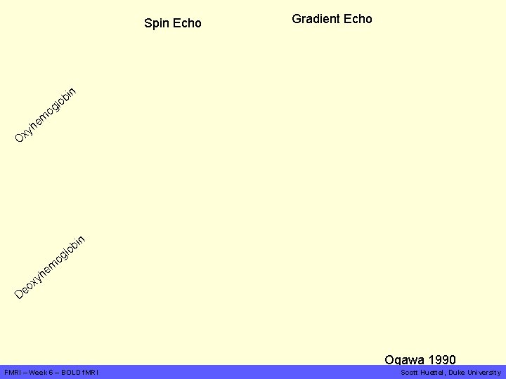 Spin Echo b lo Gradient Echo in og em h xy O l og