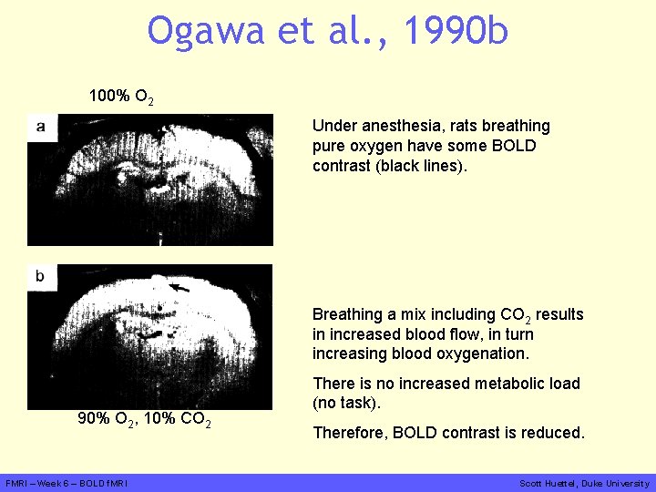 Ogawa et al. , 1990 b 100% O 2 Under anesthesia, rats breathing pure