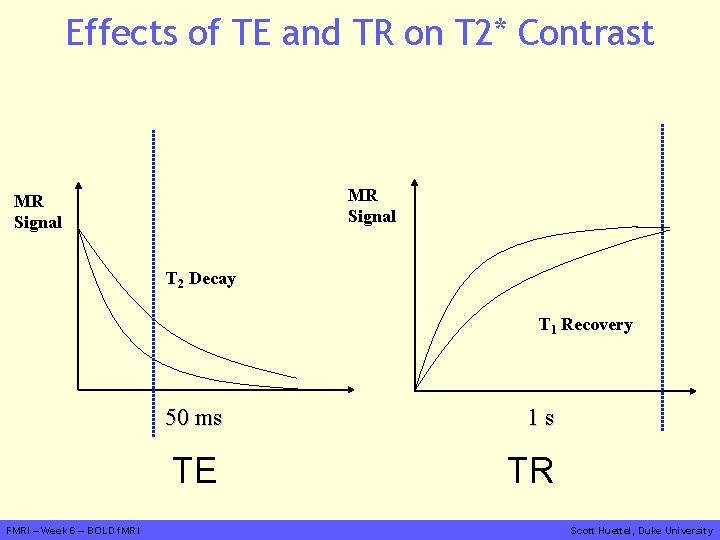 Effects of TE and TR on T 2* Contrast MR Signal T 2 Decay