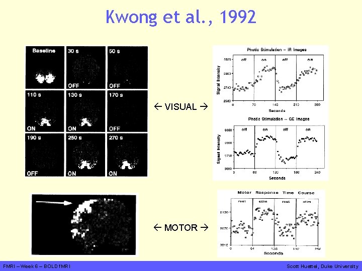 Kwong et al. , 1992 VISUAL MOTOR FMRI – Week 6 – BOLD f.