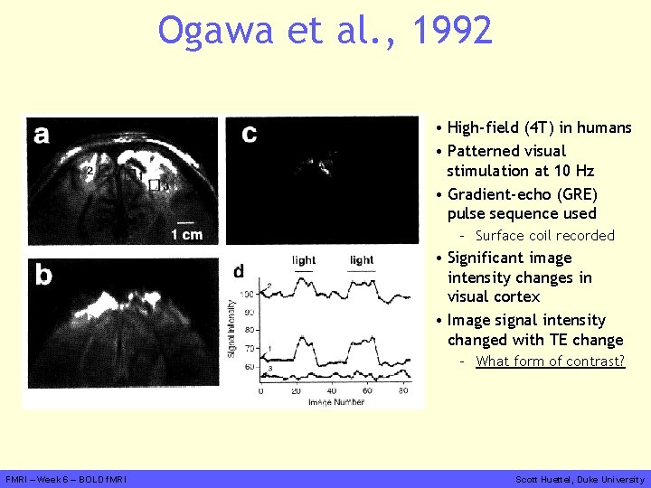 Ogawa et al. , 1992 • High-field (4 T) in humans • Patterned visual