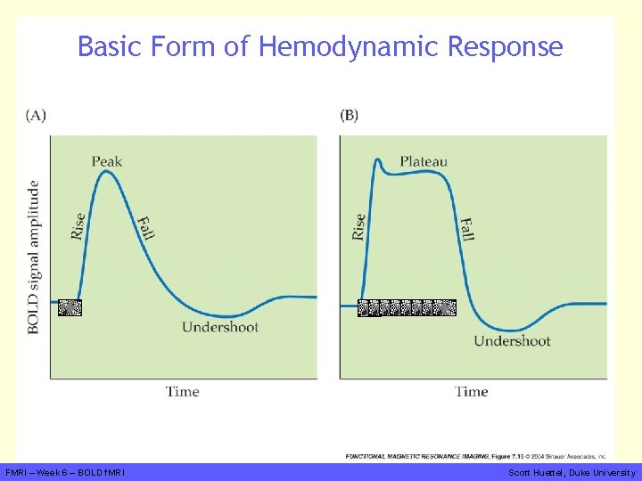 Basic Form of Hemodynamic Response FMRI – Week 6 – BOLD f. MRI Scott