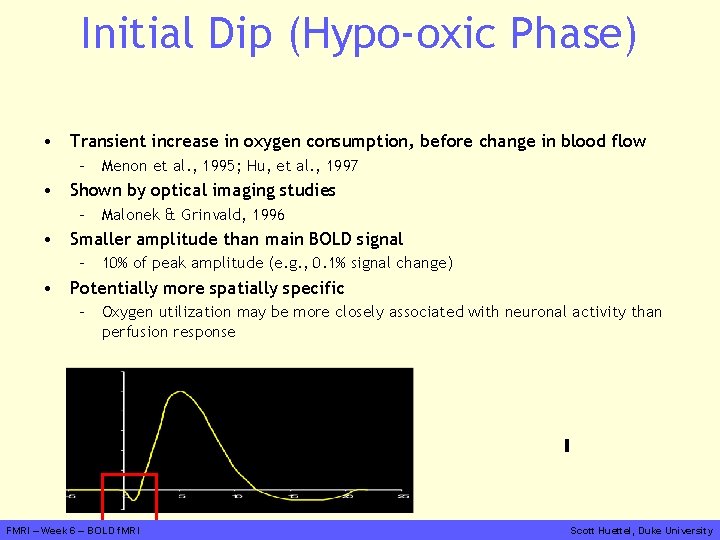Initial Dip (Hypo-oxic Phase) • Transient increase in oxygen consumption, before change in blood