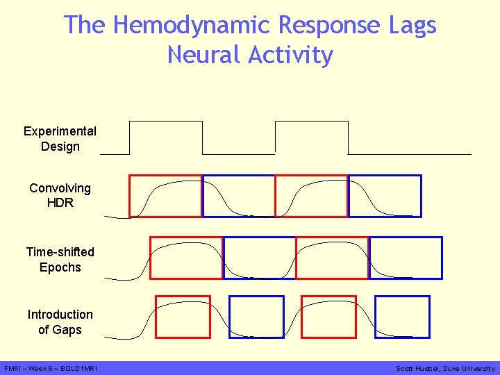 The Hemodynamic Response Lags Neural Activity Experimental Design Convolving HDR Time-shifted Epochs Introduction of