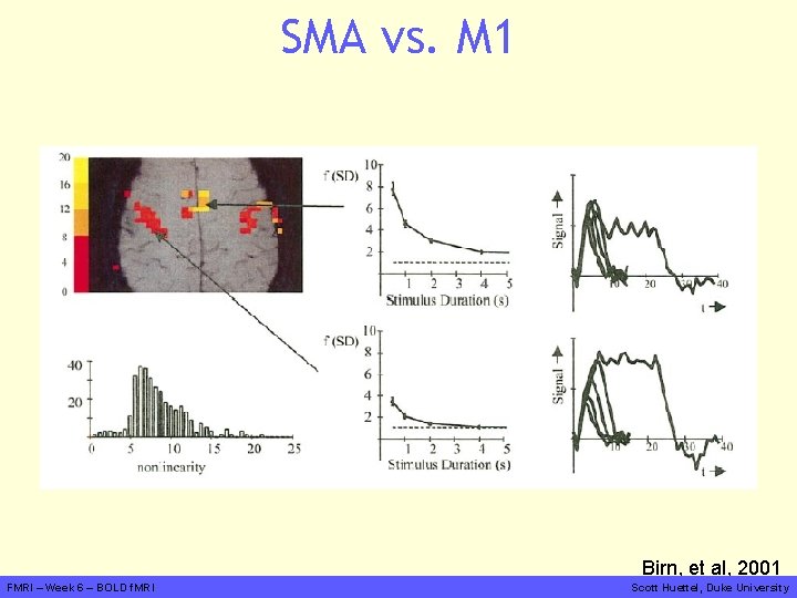 SMA vs. M 1 Birn, et al, 2001 FMRI – Week 6 – BOLD