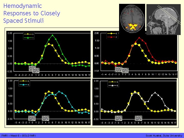 Hemodynamic Responses to Closely Spaced Stimuli FMRI – Week 6 – BOLD f. MRI