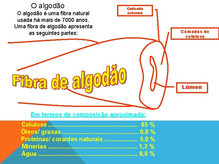 O algodão é uma fibra natural usada há mais de 7000 anos. Uma fibra