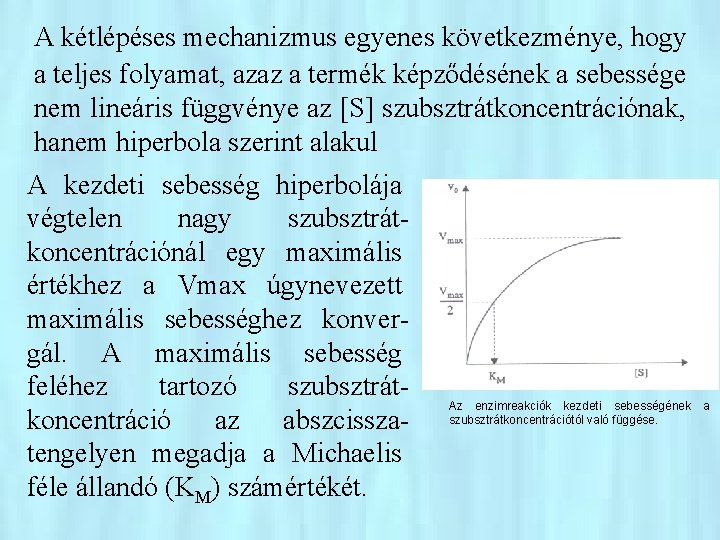 A kétlépéses mechanizmus egyenes következménye, hogy a teljes folyamat, azaz a termék képződésének a