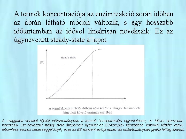 A termék koncentrációja az enzimreakció során időben az ábrán látható módon változik, s egy