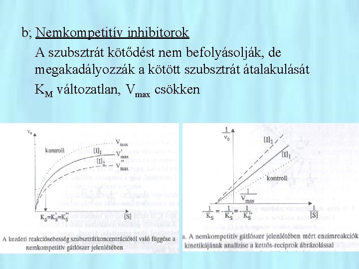 b; Nemkompetitív inhibitorok A szubsztrát kötődést nem befolyásolják, de megakadályozzák a kötött szubsztrát átalakulását