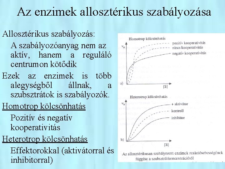 Az enzimek allosztérikus szabályozása Allosztérikus szabályozás: A szabályozóanyag nem az aktív, hanem a reguláló