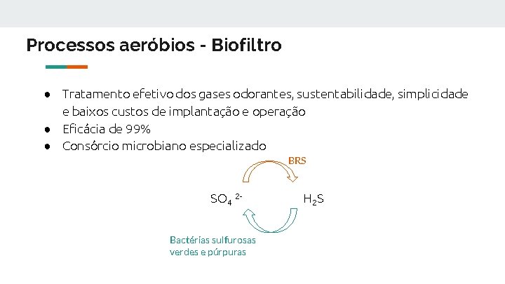 Processos aeróbios - Biofiltro ● Tratamento efetivo dos gases odorantes, sustentabilidade, simplicidade e baixos
