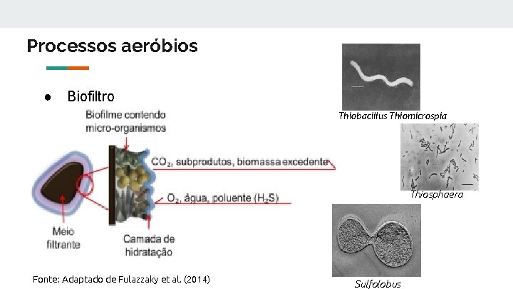 Processos aeróbios ● Biofiltro Thiobacillus Thiomicrospia Thiosphaera Fonte: Adaptado de Fulazzaky et al. (2014)