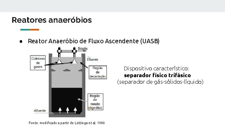 Reatores anaeróbios ● Reator Anaeróbio de Fluxo Ascendente (UASB) Dispositivo característico: separador físico trifásico