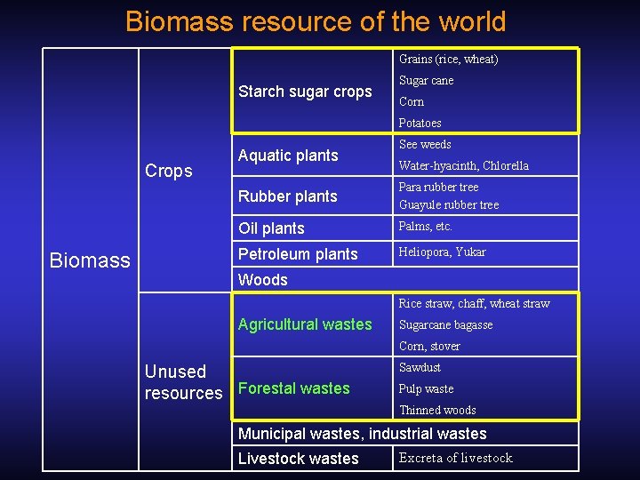 Biomass resource of the world Grains (rice, wheat) Starch sugar crops Sugar cane Corn