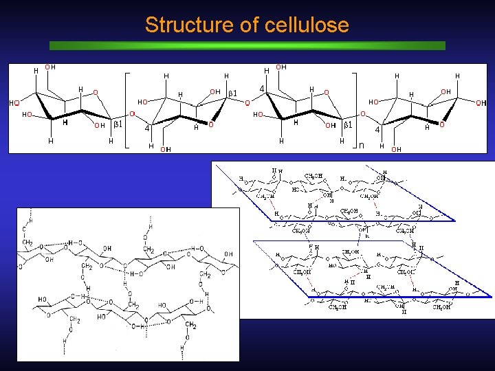 Structure of cellulose 