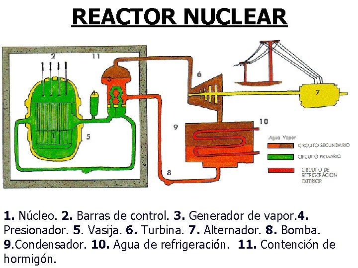 REACTOR NUCLEAR 1. Núcleo. 2. Barras de control. 3. Generador de vapor. 4. Presionador.