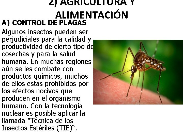 2) AGRICULTURA Y ALIMENTACIÓN A) CONTROL DE PLAGAS Algunos insectos pueden ser perjudiciales para