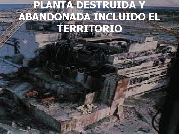 PLANTA DESTRUIDA Y ABANDONADA INCLUIDO EL TERRITORIO 