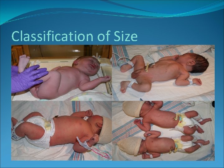 Classification of Size Classification of Size
