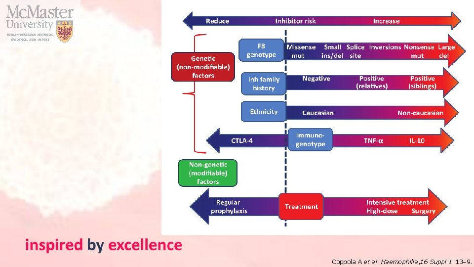 Coppola A et al. Haemophilia, 16 Suppl 1: 13– 9. 