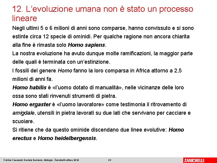 12. L’evoluzione umana non è stato un processo lineare Negli ultimi 5 o 6