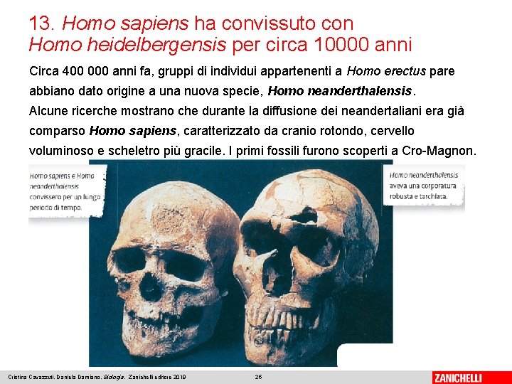 13. Homo sapiens ha convissuto con Homo heidelbergensis per circa 10000 anni Circa 400