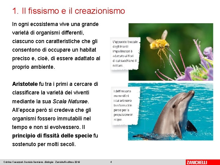 1. Il fissismo e il creazionismo In ogni ecosistema vive una grande varietà di