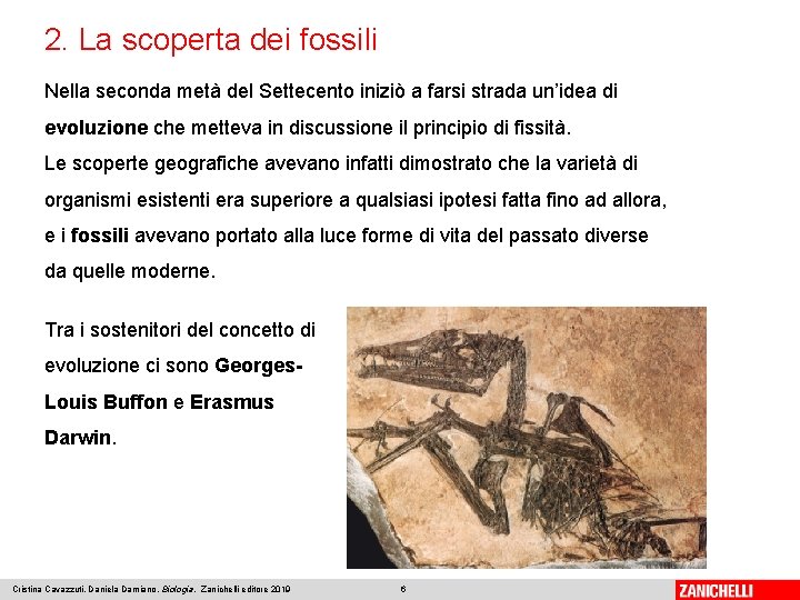 2. La scoperta dei fossili Nella seconda metà del Settecento iniziò a farsi strada