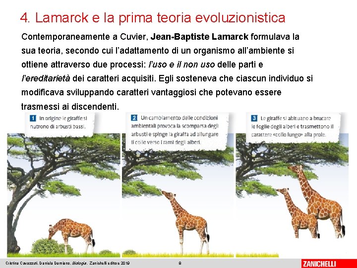 4. Lamarck e la prima teoria evoluzionistica Contemporaneamente a Cuvier, Jean-Baptiste Lamarck formulava la