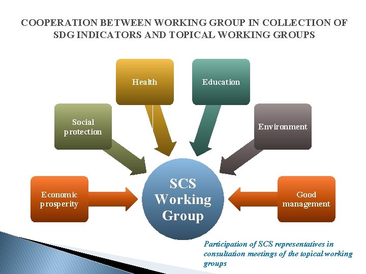 COOPERATION BETWEEN WORKING GROUP IN COLLECTION OF SDG INDICATORS AND TOPICAL WORKING GROUPS Health