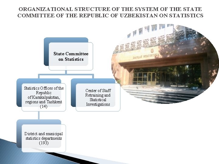 ORGANIZATIONAL STRUCTURE OF THE SYSTEM OF THE STATE COMMITTEE OF THE REPUBLIC OF UZBEKISTAN