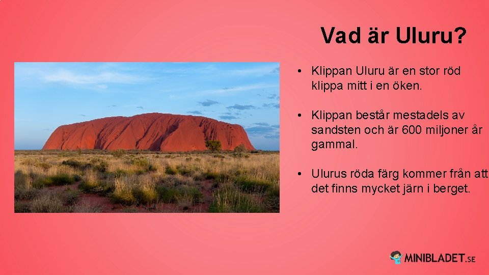 Vad är Uluru? • Klippan Uluru är en stor röd klippa mitt i en