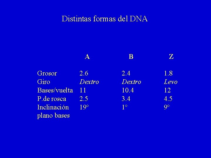 Distintas formas del DNA Grosor Giro Bases/vuelta P. de rosca Inclinación plano bases A