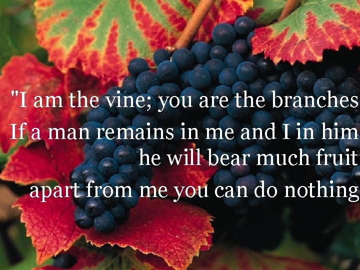 "I am the vine; you are the branches. If a man remains in me