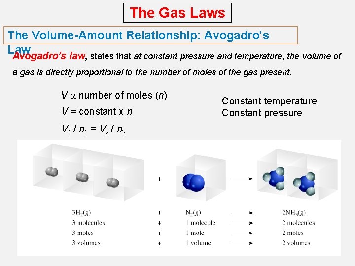 The Gas Laws The Volume-Amount Relationship: Avogadro’s Law Avogadro’s law, states that at constant