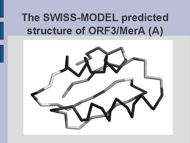 The SWISS-MODEL predicted structure of ORF 3/Mer. A (A) fig. ORF 3 MERAA. eps