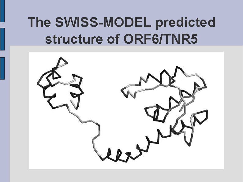 The SWISS-MODEL predicted structure of ORF 6/TNR 5 fig. ORF 6 TNR 5. eps