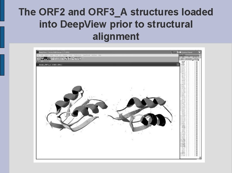 The ORF 2 and ORF 3_A structures loaded into Deep. View prior to structural