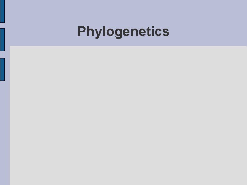Phylogenetics 