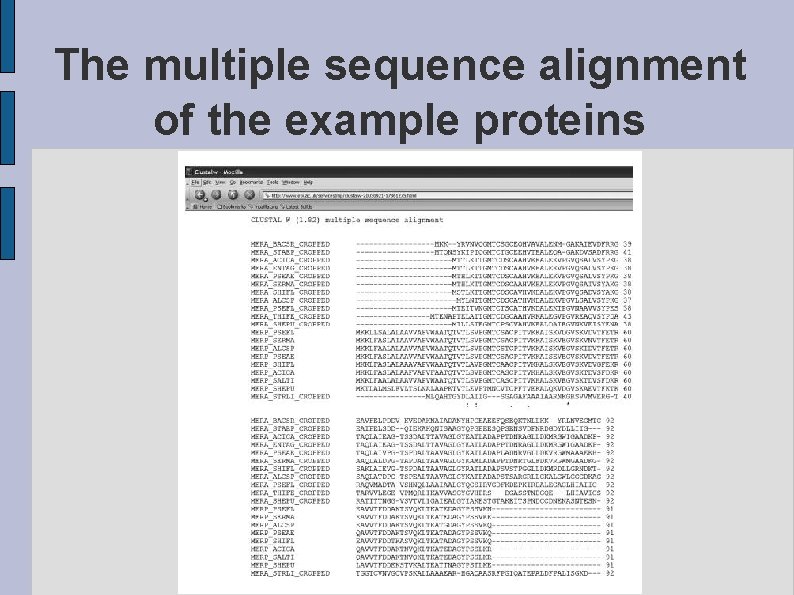 The multiple sequence alignment of the example proteins fig. LISTMERAMERP. eps 