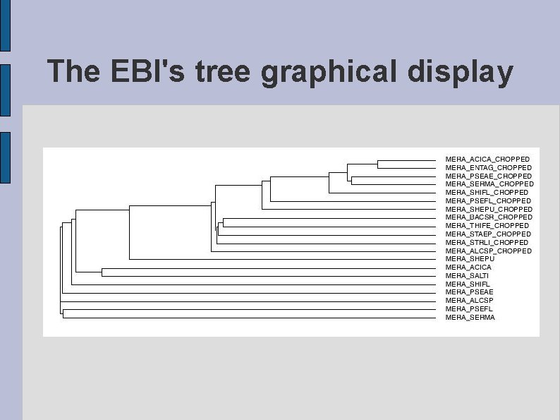 The EBI's tree graphical display fig. TREE. eps 