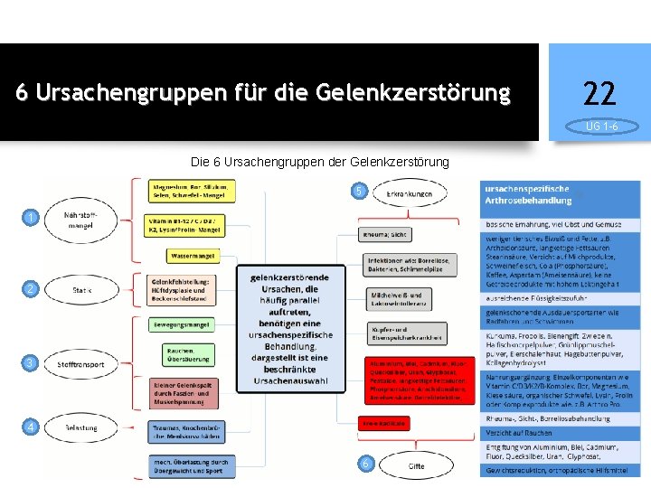 6 Ursachengruppen für die Gelenkzerstörung 22 UG 1 -6 Die 6 Ursachengruppen der Gelenkzerstörung