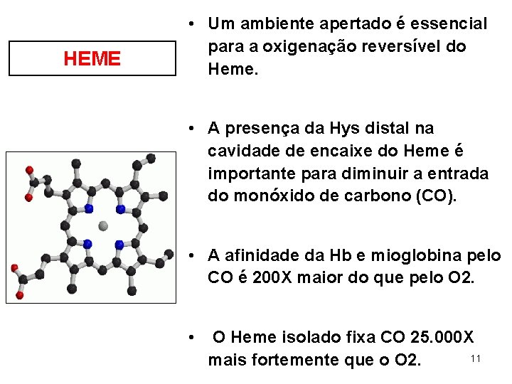 HEME • Um ambiente apertado é essencial para a oxigenação reversível do Heme. •